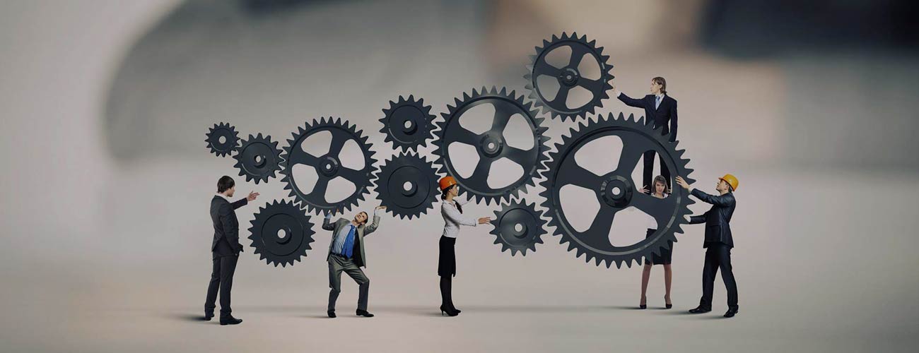 Cupidatat non proident